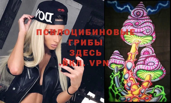 МДПВ Краснослободск